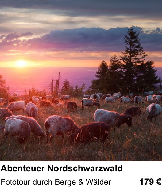 Atmosphärischer Fotoworkshop für Aufnahmen zu Abenteuer Nordschwarzwald: Fototour durch Berge & Wälder