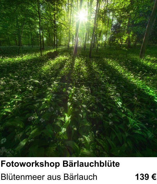Atmosphärischer Fotoworkshop für Aufnahmen zu Fotoworkshop Bärlauchblüte: Blütenmeer aus Bärlauch