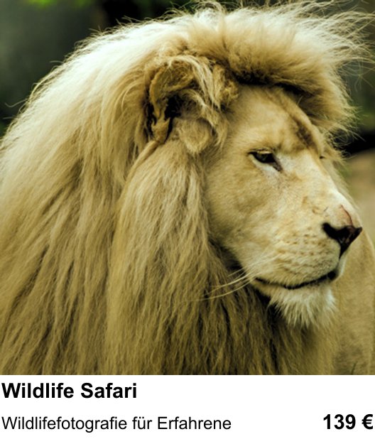 Fotokurs für Wildlife Safari in Krefeld – Wildlifefotografie für Erfahrene