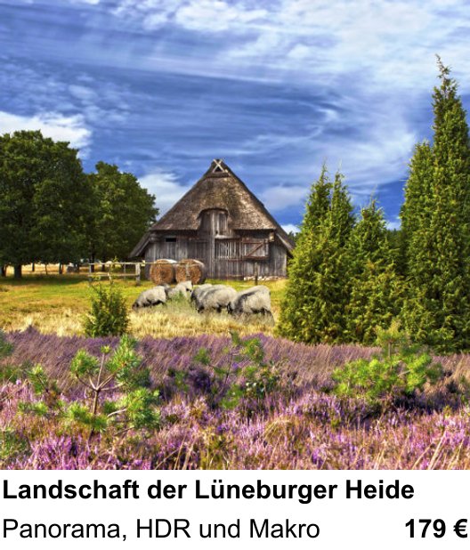Atmosphärischer Fotoworkshop für Aufnahmen zu Landschaft der Lüneburger Heide: Panorama, HDR und Makro