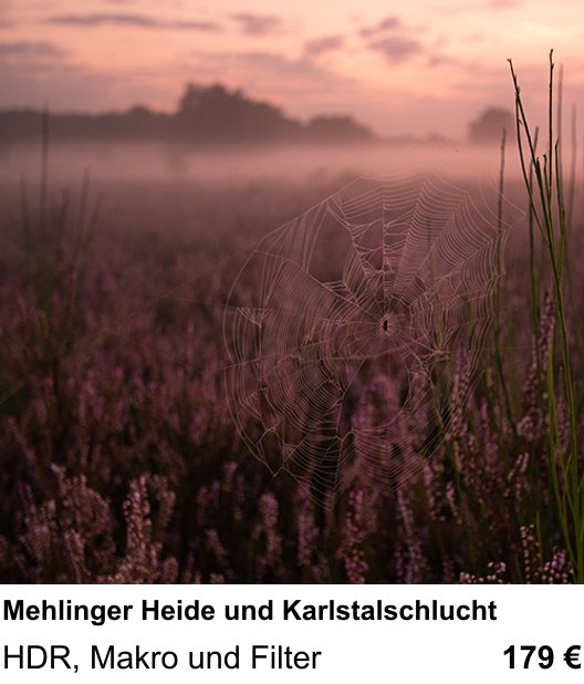 Atmosphärischer Fotoworkshop für Aufnahmen zu Mehlinger Heide und Karlstalschlucht: HDR, Makro und Filter