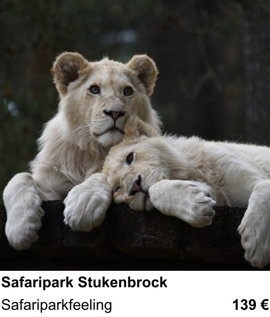 Atmosphärischer Fotoworkshop für Aufnahmen zu Safaripark Stukenbrock: Safariparkfeeling