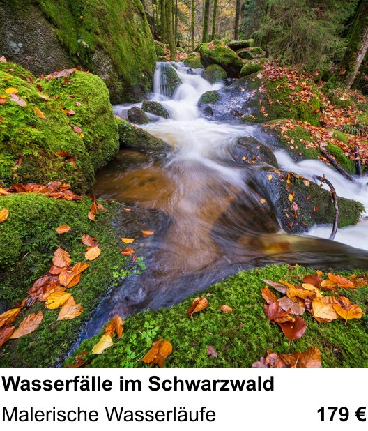 Atmosphärischer Fotoworkshop für Aufnahmen zu Wasserfälle im Schwarzwald: Malerische Wasserläufe