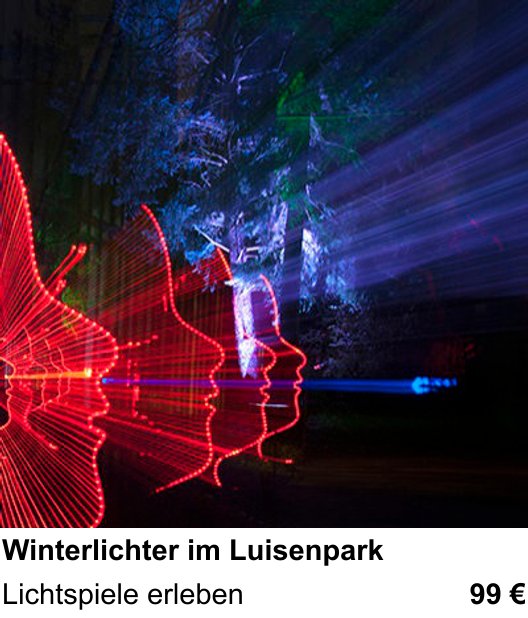 Atmosphärischer Fotoworkshop für Aufnahmen zu Winterlichter im Luisenpark: Lichtspiele erleben