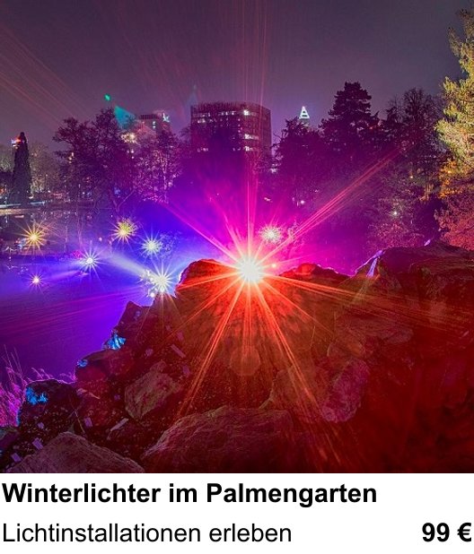 Atmosphärischer Fotoworkshop für Aufnahmen zu Winterlichter im Palmengarten: Lichtinstallationen erleben